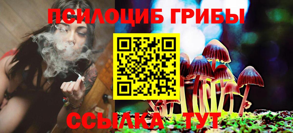 Лангепас  Псилоцибиновые грибы Cubensis  Вход с VPN 